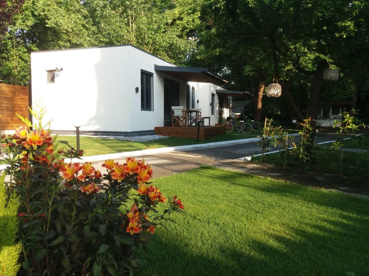 Gkaras Campsite & Apartments 乐托卡亚 外观 照片